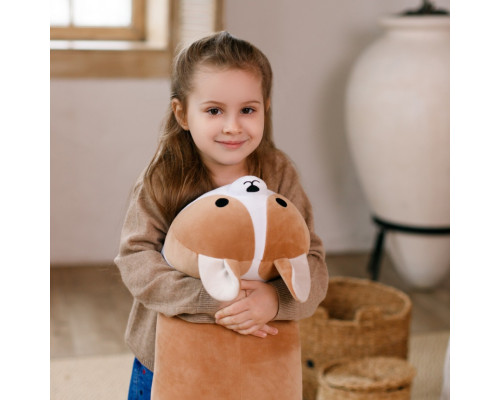 Подушка декоративная собака Корги Норман FWPDOGCORGI23BG70