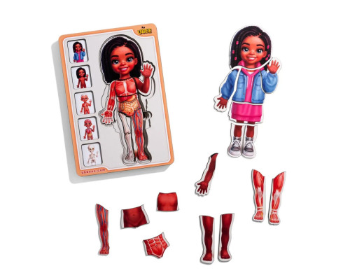 Деревянный пазл-вкладыш "Анатомия человека - девочка-3" (ПСД264) PSD264 строение тела