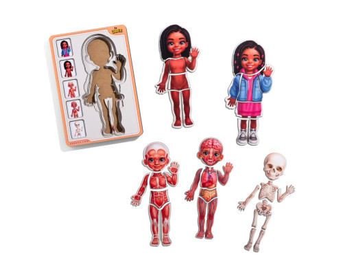 Деревянный пазл-вкладыш "Анатомия человека - девочка-3" (ПСД264) PSD264 строение тела