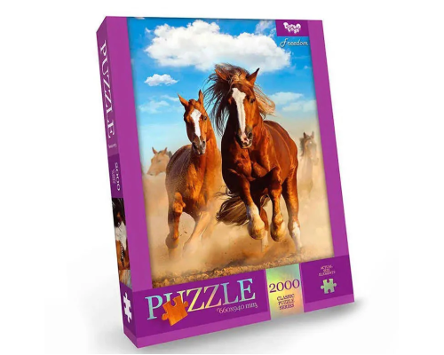 Пазл "Freedom" Danko Toys C2000-01-06, 2000 ел.