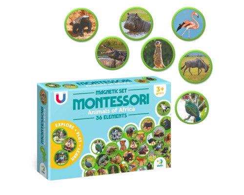 Дитячий магнітний набір Монтесорі "Тварини на континентах: Африка" 200284, 36 елементів