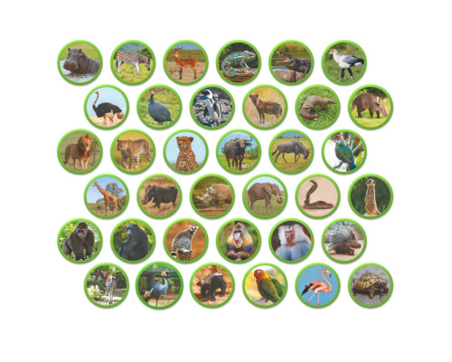 Дитячий магнітний набір Монтесорі "Тварини на континентах: Африка" 200284, 36 елементів