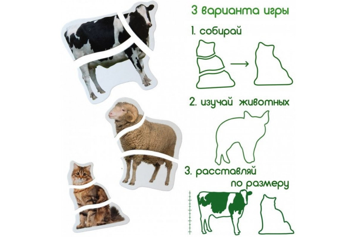 Магнітні пазли Magdum Ферма ML4031-19 EN