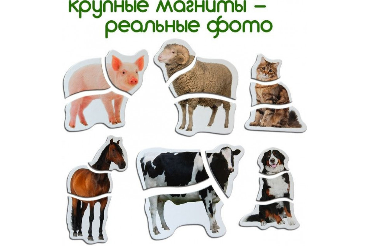 Магнітні пазли Magdum Ферма ML4031-19 EN