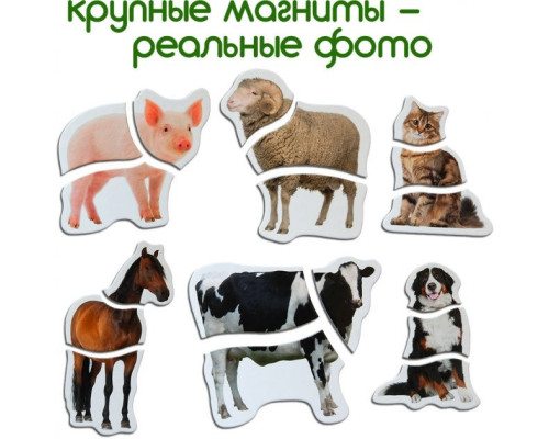 Магнітні пазли Magdum Ферма ML4031-19 EN