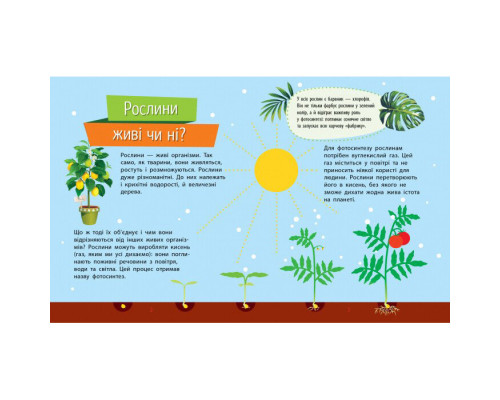 Навчальна книжка Чомусики "Рослини" 875010 запитання та відповіді