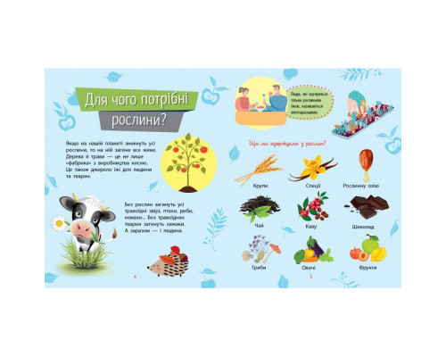 Навчальна книжка Чомусики "Рослини" 875010 запитання та відповіді