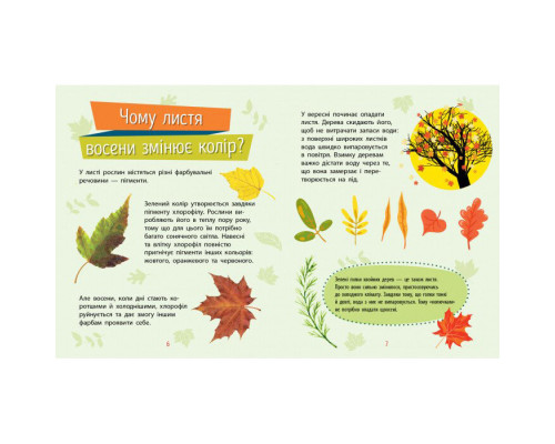 Навчальна книжка Чомусики "Рослини" 875010 запитання та відповіді