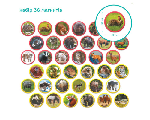 Дитячий магнітний набір Монтесорі "Тварини на континентах: Євразія" 200285, 36 елементів
