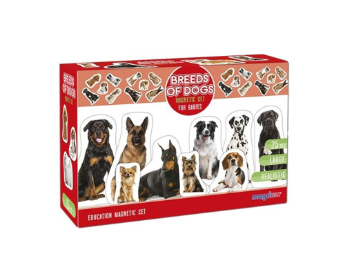 Дитячий розвиваючий набір магнітів "Породи собак" ML4031-20EN 24 фотомагніти