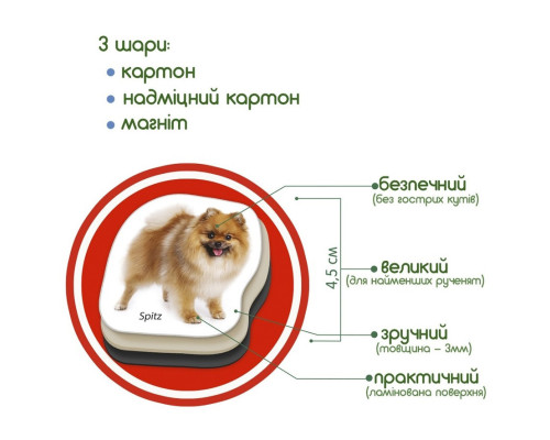 Дитячий розвиваючий набір магнітів "Породи собак" ML4031-20EN 24 фотомагніти