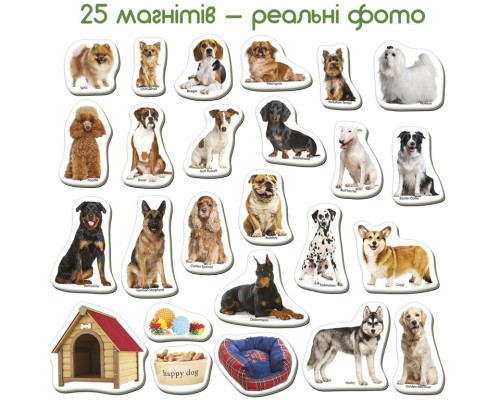 Дитячий розвиваючий набір магнітів "Породи собак" ML4031-20EN 24 фотомагніти