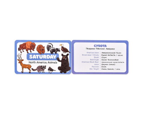 Карткова гра "Англійський алфавіт" 31034, 40 двосторонніх карток