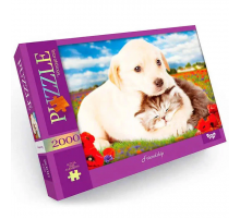 Пазл "Friendship" Danko Toys C2000-01-09, 2000 эл.
