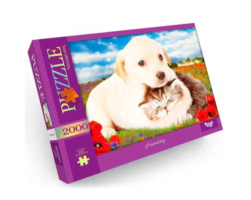 Пазл "Friendship" Danko Toys C2000-01-09, 2000 эл.