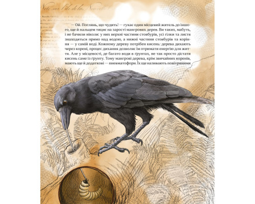 Дитяча книжка "Як зрозуміти тварин" 452155 серія "Відкривай"