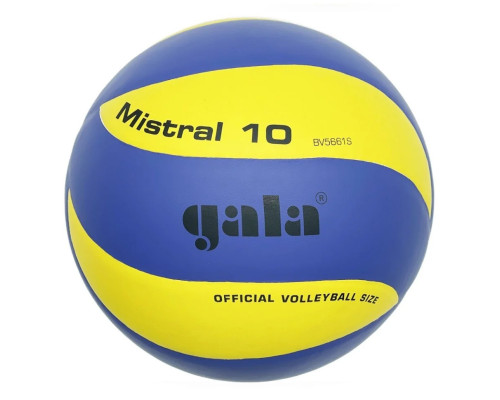 Мяч волейбольный тренировочный Mistral 10 NE-GALA-M10 № 5