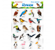 Набір магнітів "Птахи" 1311ATS