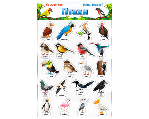 Набір магнітів "Птахи" 1311ATS