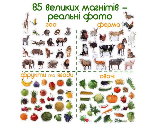 Набір магнітів Magdum "Дитячий світ" ML 4031-61 EN