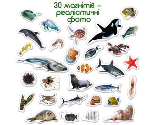 Дитячий набір магнітів Морські мешканці фото ML4031-28 EN