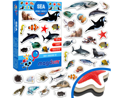 Дитячий набір магнітів Морські мешканці фото ML4031-28 EN