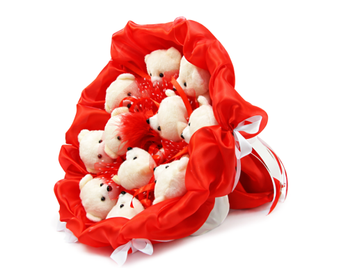 Букет з м'яких іграшок 11 ведмедиків 5281IT червоний