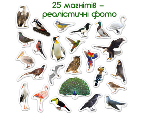 Дитячий набір магнітів Птахи фото Magdum ML4031-30 EN