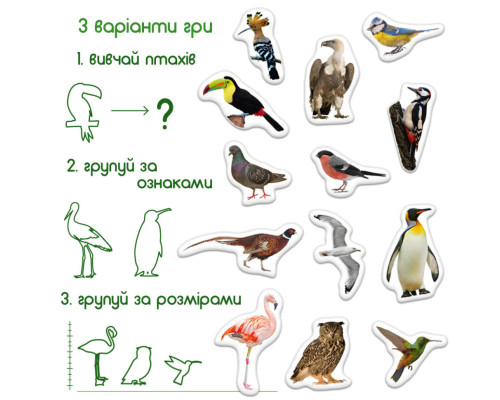 Дитячий набір магнітів Птахи фото Magdum ML4031-30 EN