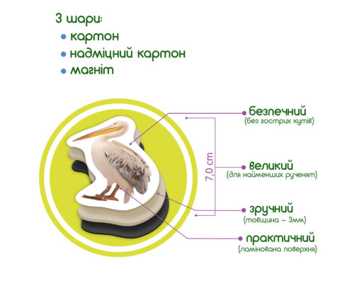 Дитячий набір магнітів Птахи фото Magdum ML4031-30 EN