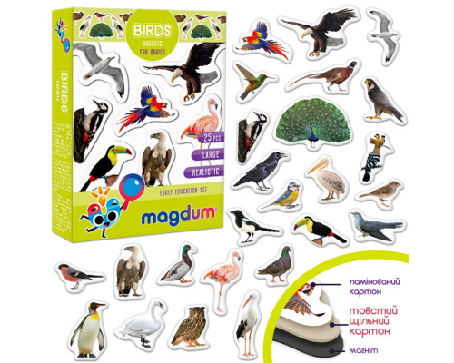 Дитячий набір магнітів Птахи фото Magdum ML4031-30 EN