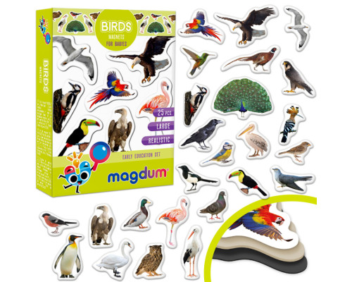 Дитячий набір магнітів Птахи фото Magdum ML4031-30 EN