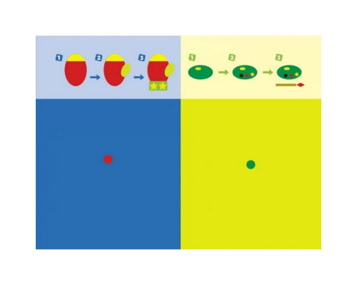 Обучающая книга "Обучалочка: Собери картинку с наклеек. Уровень 3" АРТ 19603U укр