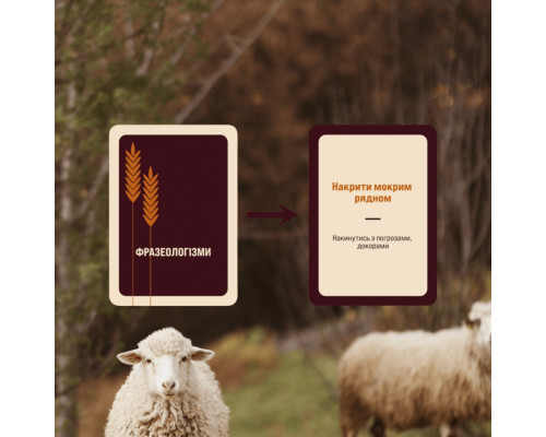 Игра настольная Игра слов MemoGames 0013MG 180 карточек, 4 категории