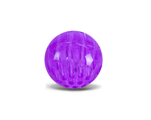 Детский мяч Попрыгунчик PR2511(Violet) тренажер, мяч 6 см светящийся, с веревкой 1 м