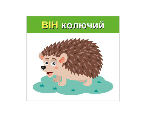 Учебные карточки "Изучаем местоимения ОН, ОНА, ОНО, ОНИ" 10109168, 15 карточек