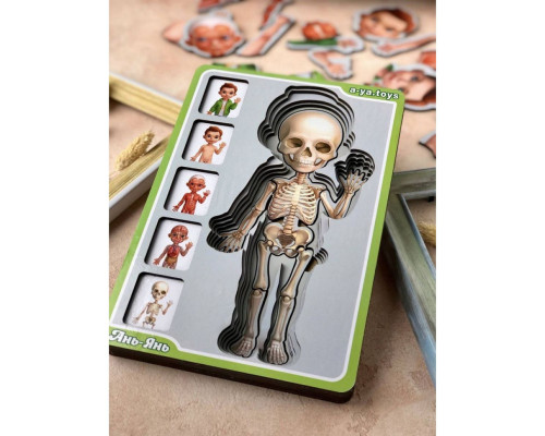 Дерев'яний пазл-вкладиш "Анатомія людини – хлопчик" Ubumblebees (ПСФ026) PSF026 будова тіла