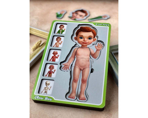 Дерев'яний пазл-вкладиш "Анатомія людини – хлопчик" Ubumblebees (ПСФ026) PSF026 будова тіла