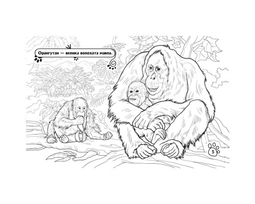 Дитяча розмальовка "Тварини у далеких краях" 583009, 16 сторінок