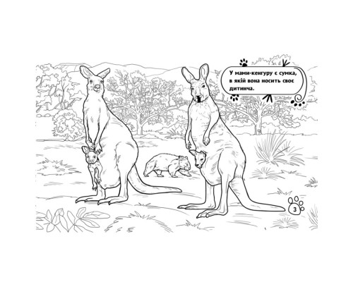 Дитяча розмальовка "Тварини у далеких краях" 583009, 16 сторінок