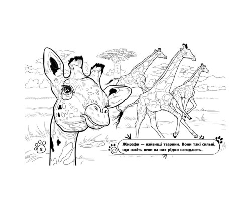 Дитяча розмальовка "Тварини у далеких краях" 583009, 16 сторінок