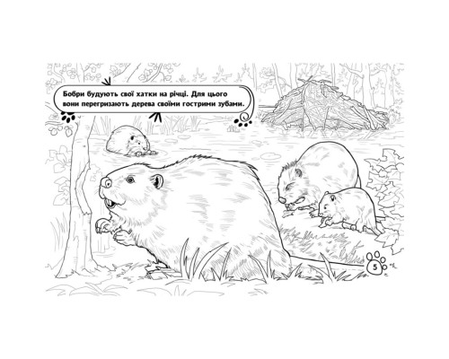 Дитяча розмальовка "Тварини у лісі" 583012, 16 сторінок
