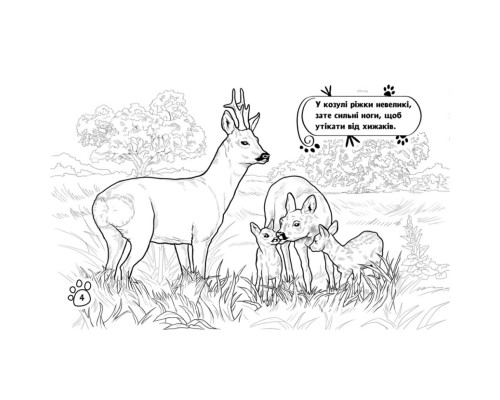 Дитяча розмальовка "Тварини у лісі" 583012, 16 сторінок