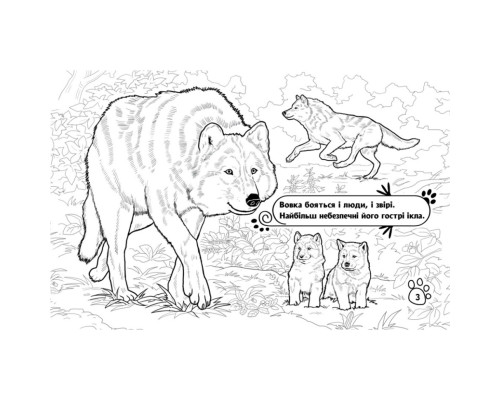 Дитяча розмальовка "Тварини у лісі" 583012, 16 сторінок
