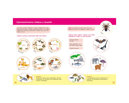 Дитяча книжка "Школа Кенгуру. Пізнаємо світ" III крок 1917003
