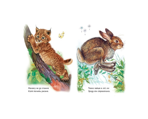 Малюкам про звірят "Лісові звірята" 212015 збірка з аудіосупроводом