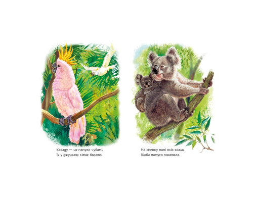 Малюкам про звірят "Лісові звірята" 212015 збірка з аудіосупроводом