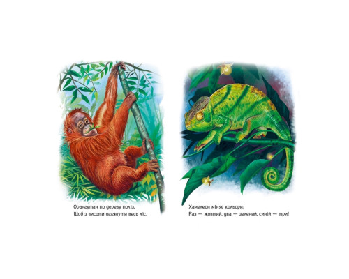 Малюкам про звірят "Лісові звірята" 212015 збірка з аудіосупроводом