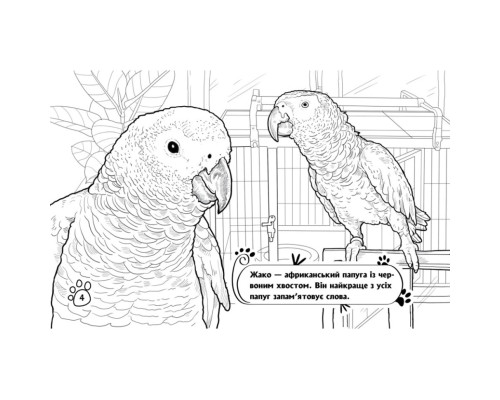 Дитяча розмальовка "Тварини у домі" 583010, 16 сторінок