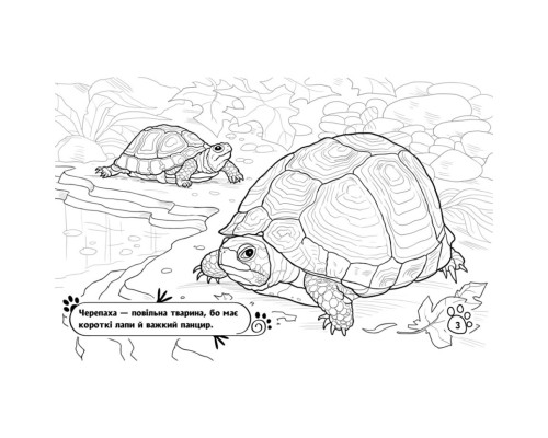 Дитяча розмальовка "Тварини у домі" 583010, 16 сторінок